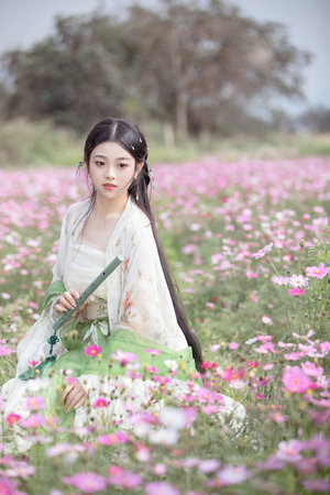 草妹妹 界面截图